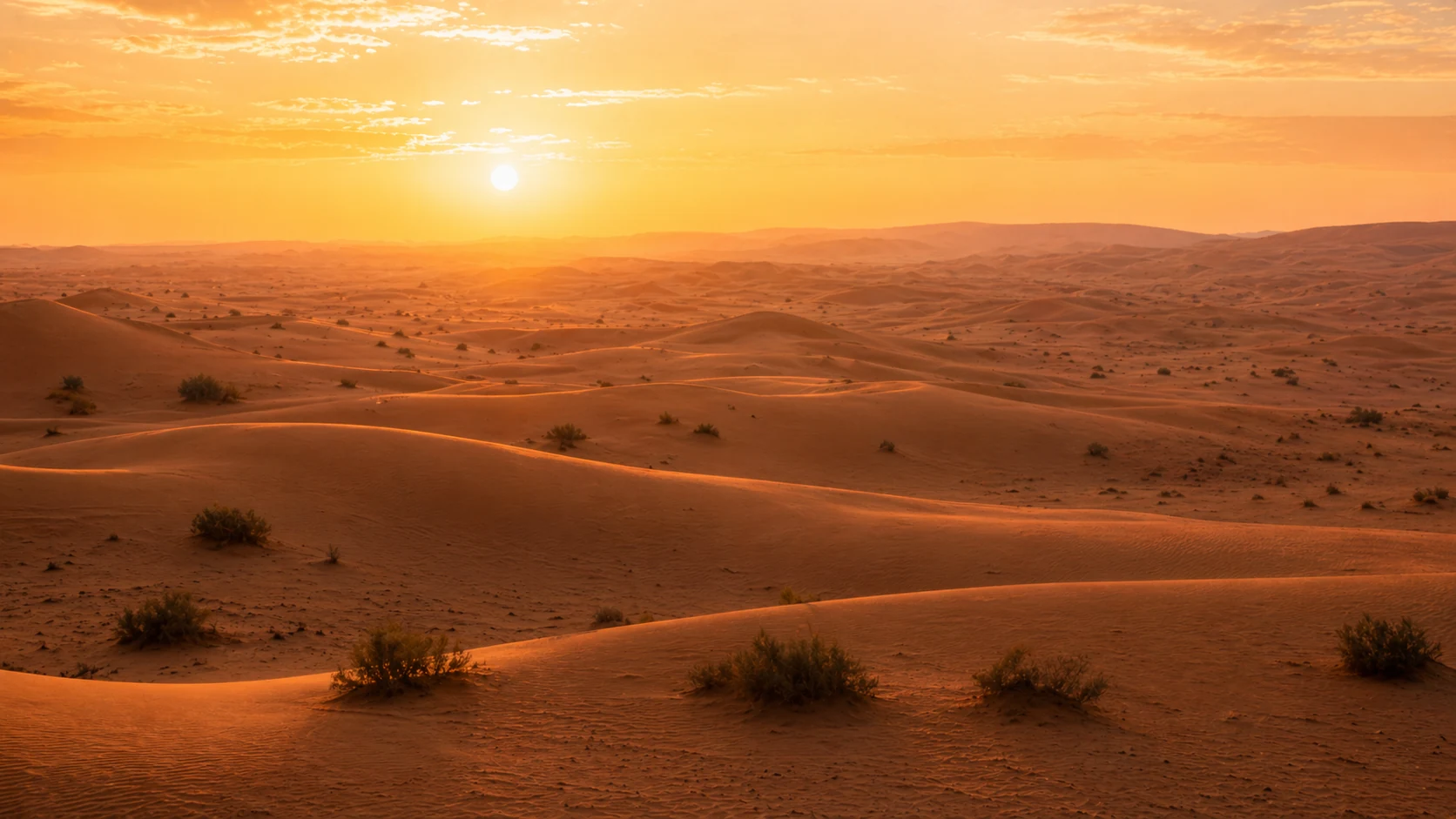 Golden reserve landscape in Dubai with quiet desert textures for travel stories